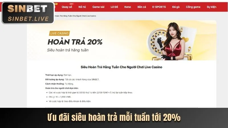 Tổng hợp ưu đãi 96win Casino 2024